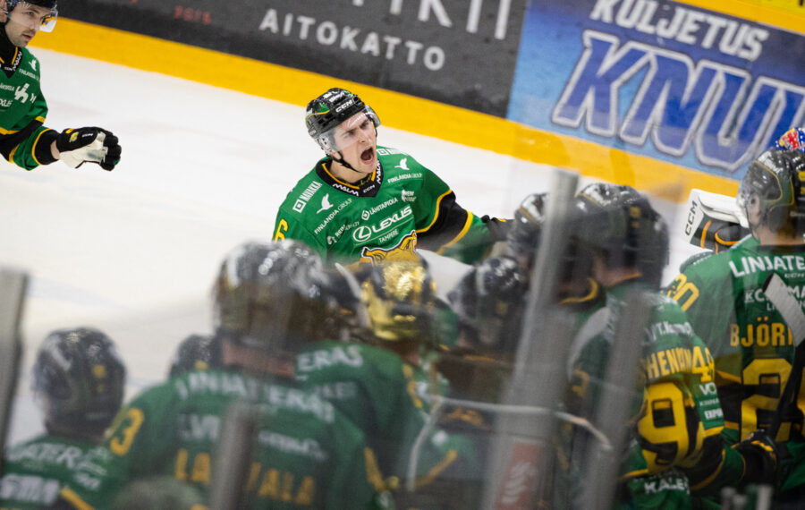 KalPan kaatanut Ilves karjuu jo sellaisella voimalla, että isovelikin kuulee sen